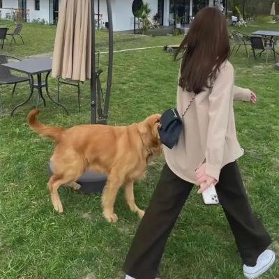 地狱神警